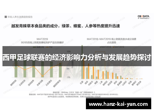 西甲足球联赛的经济影响力分析与发展趋势探讨